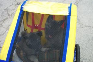 ride!