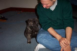 more Dag