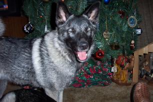 ouch